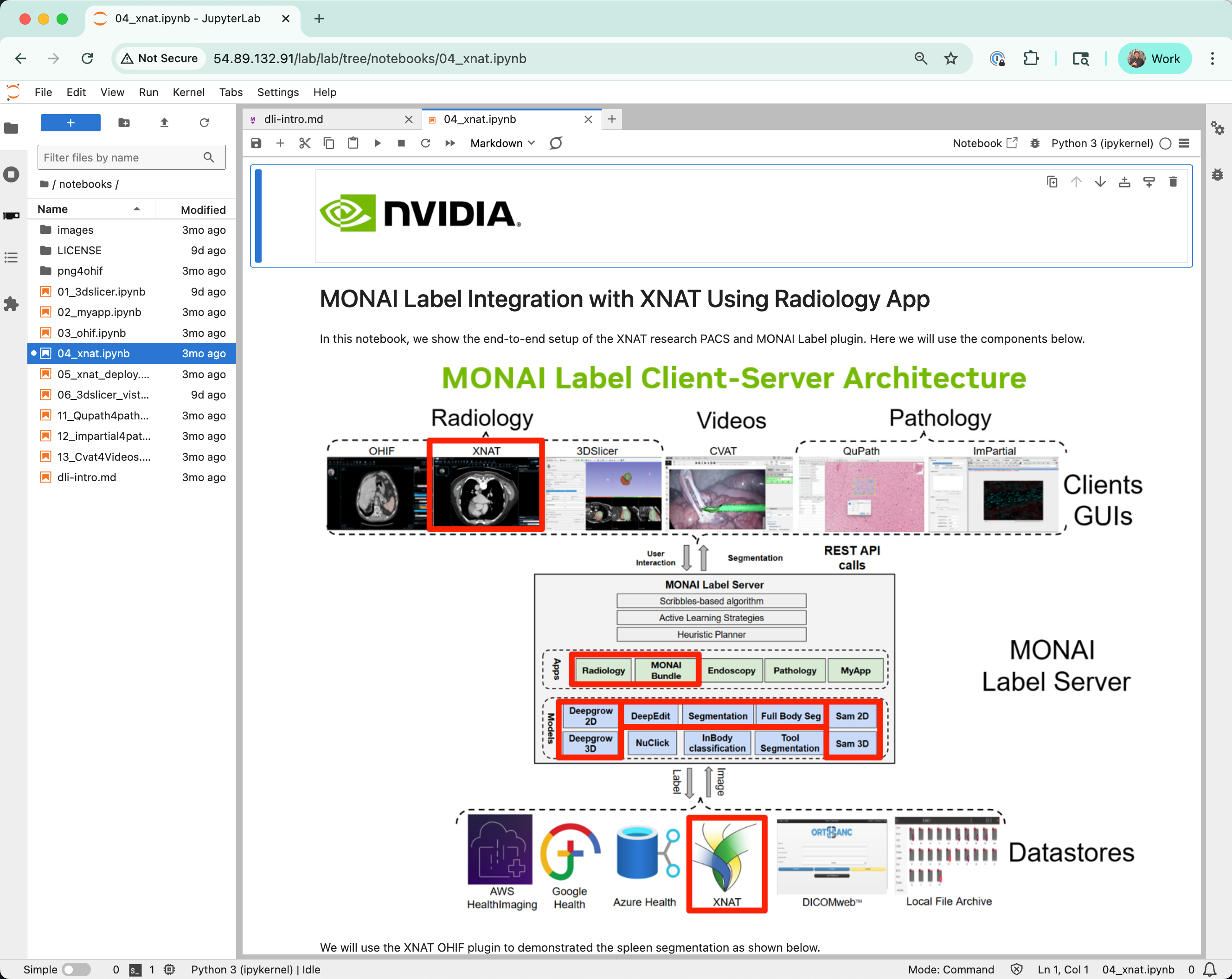 xnat-monai-lab.png
