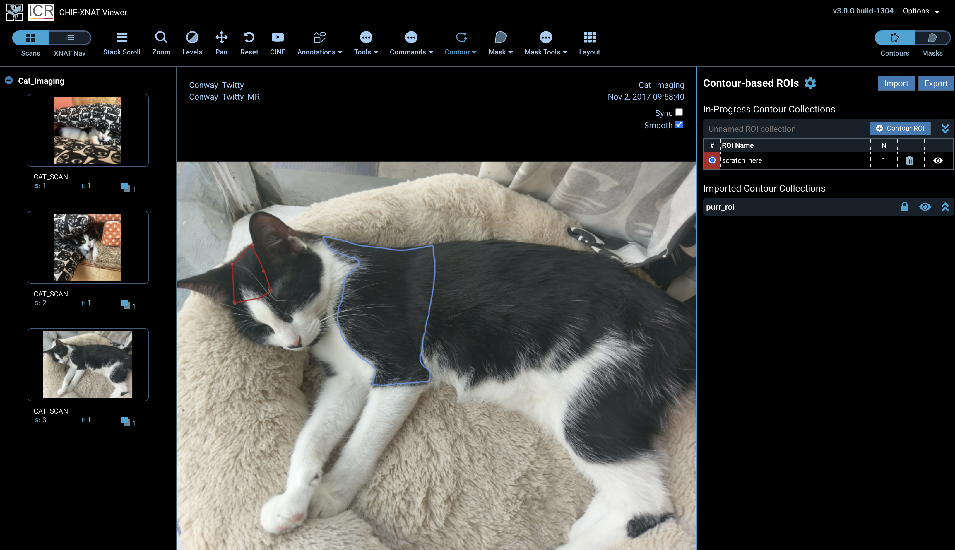 ohif-contour-on-cat2.png