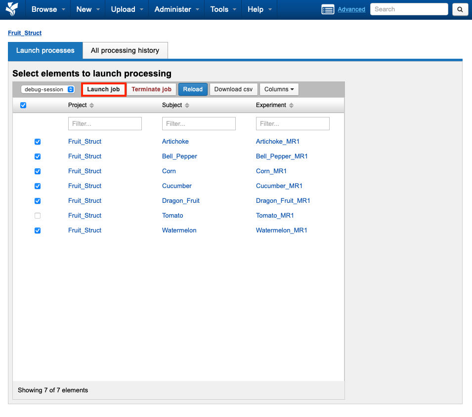 05-processing-dashboard-launch.png