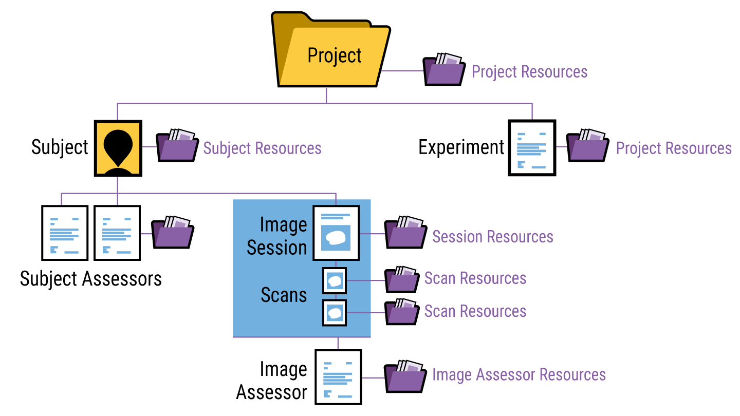 xnat-data-model.png