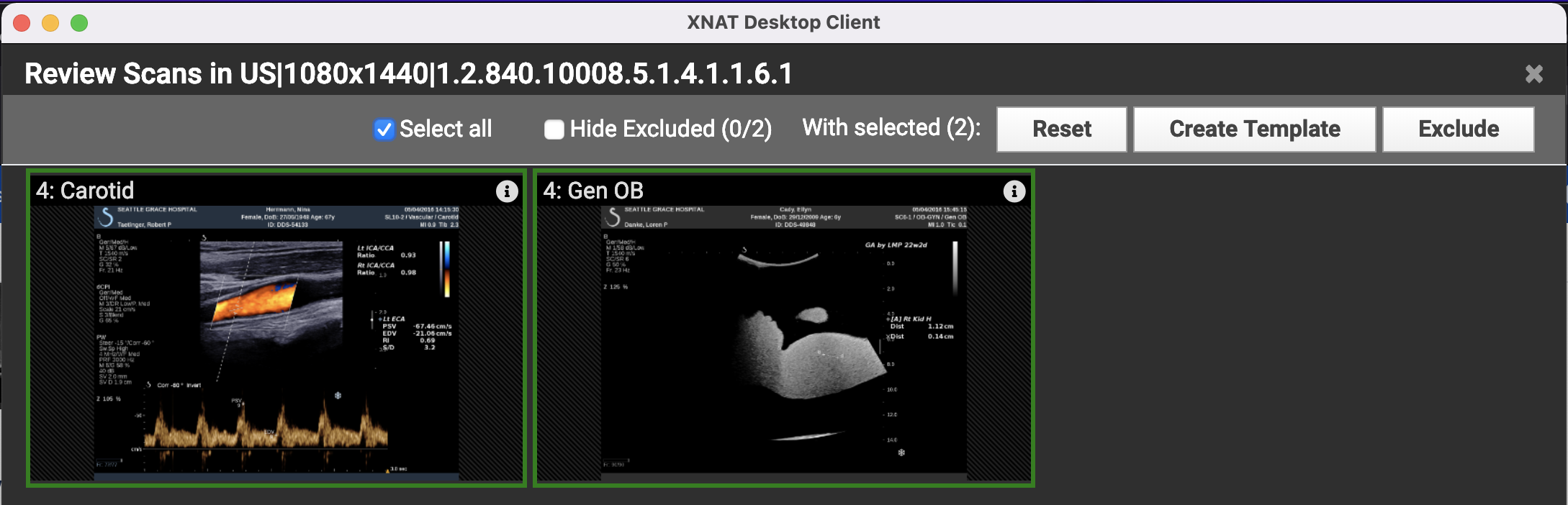 Screen Shot 2022-03-14 at 4.17.06 PM.png