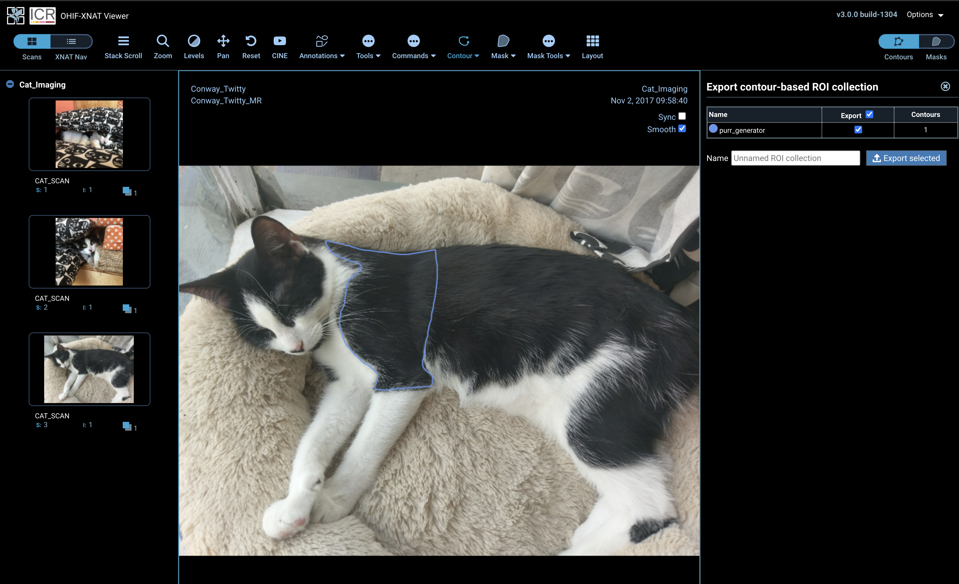 ohif-contour-on-cat.png