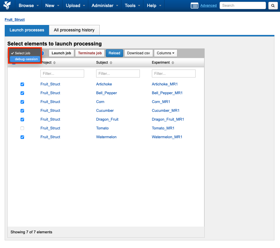 04-processing-dashboard.png