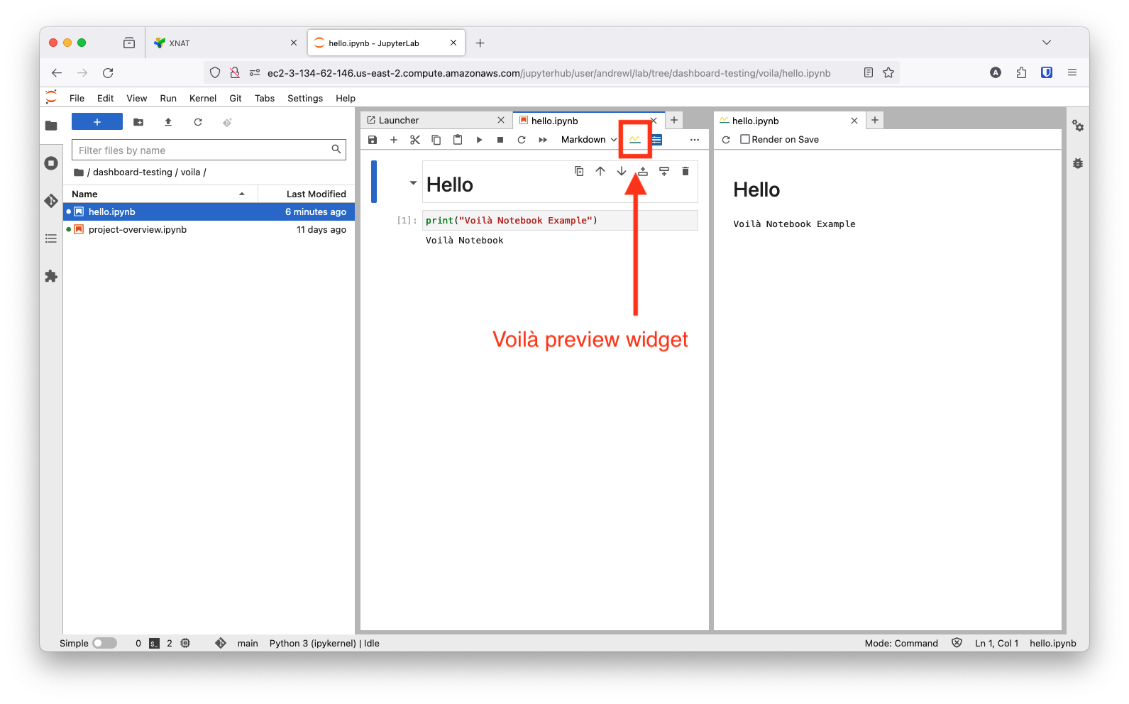 VoilaPreviewWidget.png